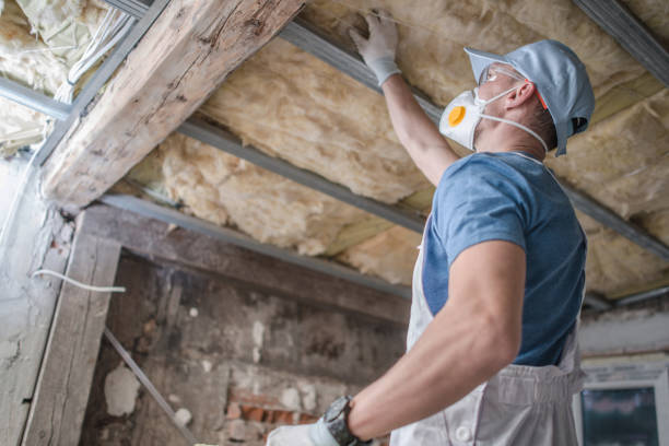 Best Insulation Maintenance and Repair in O, MI