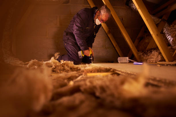 Best Residential Insulation in O, MI